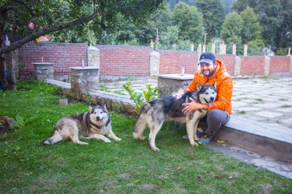 The Husky Lodge and Cafe Manali