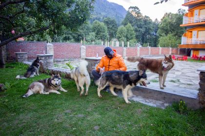 The Husky Lodge and Cafe Manali